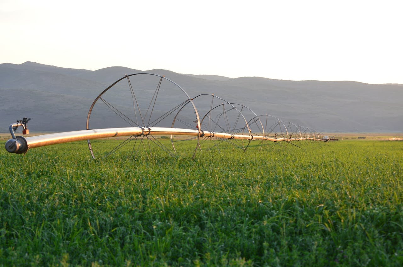 hero-img-02 Long irrigation pipe in a lush field with mountain backdrop during sunset.