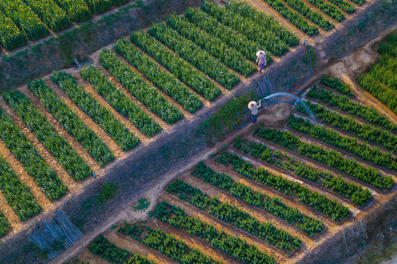 about-01 High angle shot of farmers tending to lush green cropland using irrigation systems.